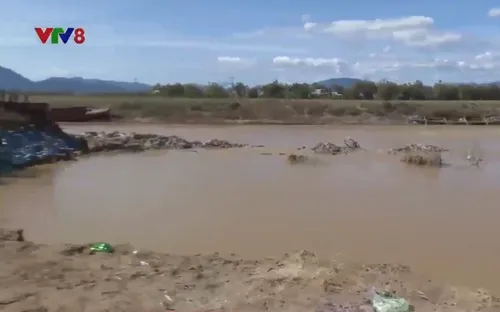 Quảng Nam đề nghị Trung ương hỗ trợ 100 tỷ đồng kè sông Quảng Huế