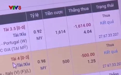 Thủ đoạn của tội phạm tổ chức cá độ bóng đá