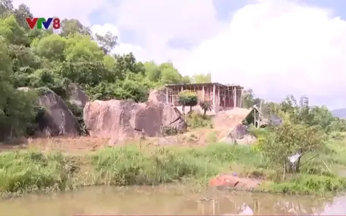 Bình Định: Nhiều công trình xây dựng trái phép trên đất lâm nghiệp