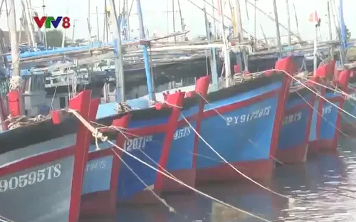 Cần có cơ chế khuyến khích ngư dân vươn khơi, bám biển