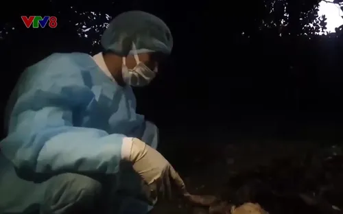 Đắk Lắk: Điều tra thi thể người đàn ông phân hủy trong rẫy