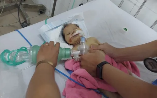 Bé gái sơ sinh bị bỏ rơi trong rừng đã không qua khỏi