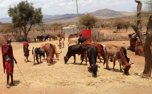 “Bồi thường khí hậu” lên bàn nghị sự tại COP27