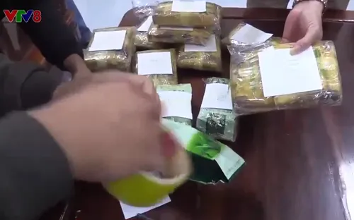 Hà Tĩnh triệt phá đường dây ma túy xuyên quốc gia