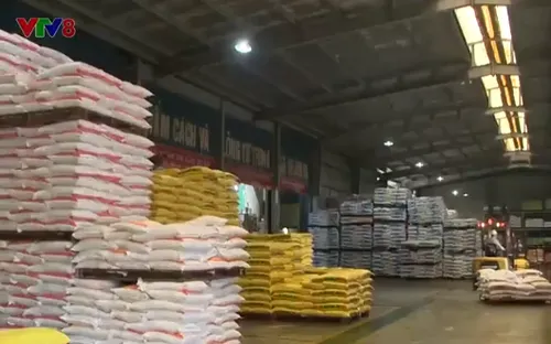 Doanh nghiệp Thanh Hoá tăng tốc sản xuất các đơn hàng cuối năm