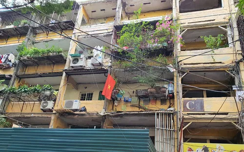 Tạm cấp hơn 22 tỷ đồng cải tạo chung cư cũ