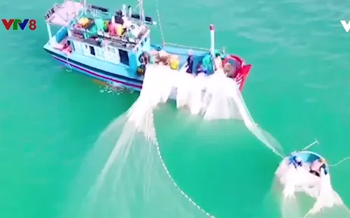 Mùa ruốc sớm ở Phú Yên