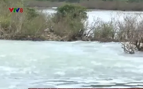 Quảng Ngãi: Cầu vượt sông - Giải pháp cho khu vực miền núi thường xuyên bị cô lập