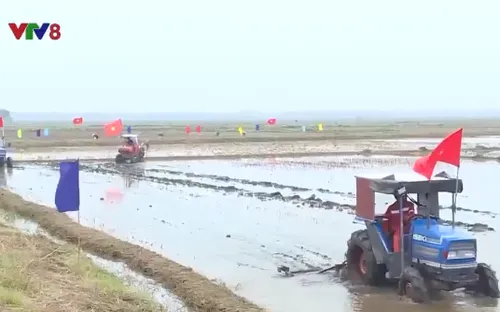 Quảng Trị ra quân làm thủy lợi, vệ sinh đồng ruộng