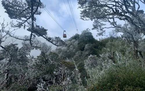 Băng giá, sương muối phủ trắng đỉnh Fansipan