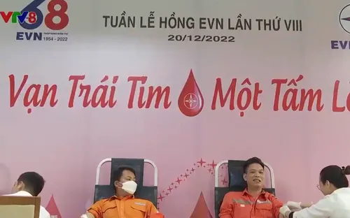 Tuần lễ hồng EVN