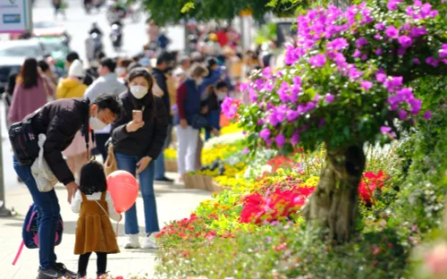 Festival hoa Đà Lạt: Điểm hẹn của người yêu hoa