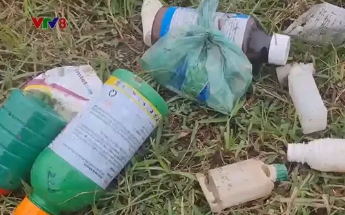 Quảng Trị: Tăng cường các giải pháp xử lý tình trạng phun, vứt vỏ thuốc BVTV