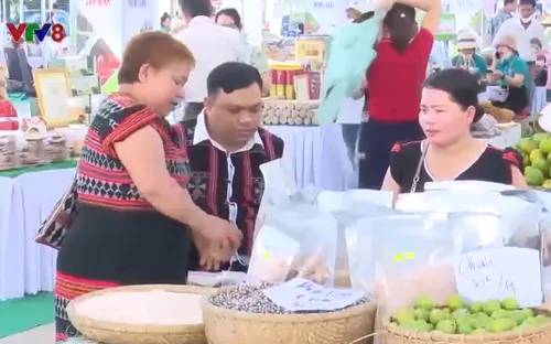 Quảng Nam - Lan toả khát vọng khởi nghiệp