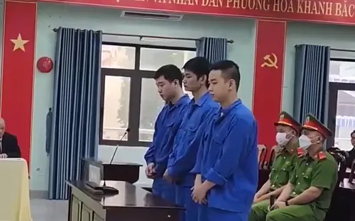 Đà Nẵng: Xét xử công khai 2 vụ án "Mua bán trái phép chất ma túy"