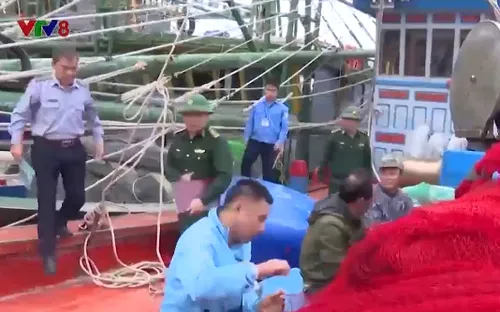 100% tàu cá Hà Tĩnh được cấp giấy phép khai thác thủy sản