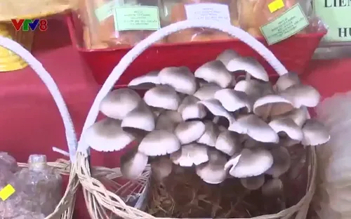 Phiên chợ Xanh tại Phú Yên