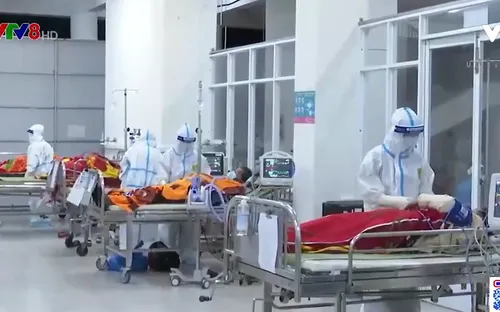 Đà Nẵng: Đêm giao thừa tại bệnh viện dã chiến