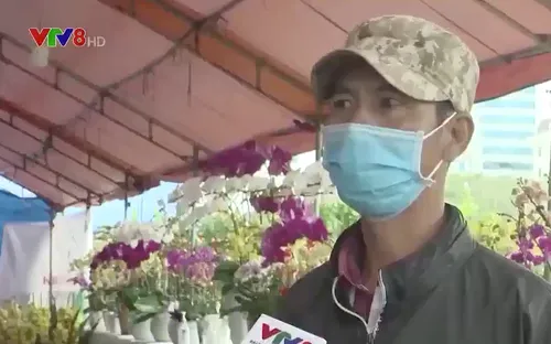 Ước nguyện của người dân Đà Nẵng nhân dịp Năm mới