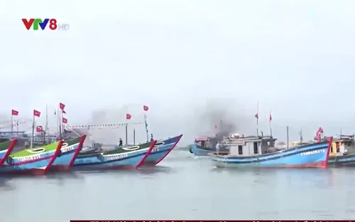 Ngư dân Thừa Thiên - Huế ra quân đánh bắt cá vụ nam năm 2022