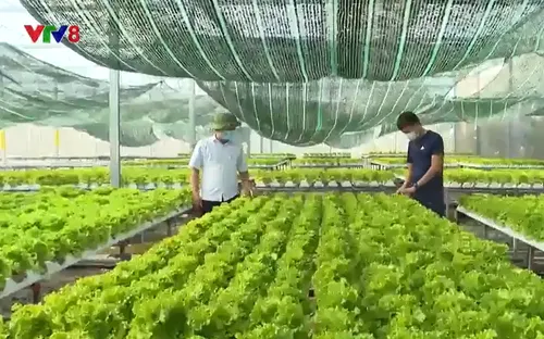 Thanh Hoá: 2 huyện được công nhận đạt chuẩn nông thôn mới