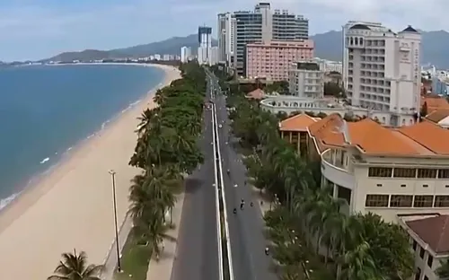 Thú vị hàng cây tra phố biển