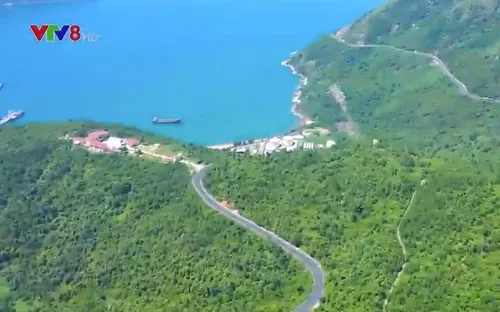 Phú Yên duyệt đề án khai thác du lịch xen kẽ trong rừng đặc dụng Đèo Cả