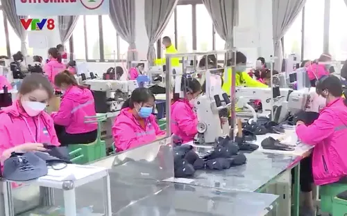 Nghệ An: Toàn bộ công nhân Công ty Viet Glory đã đi làm trở lại