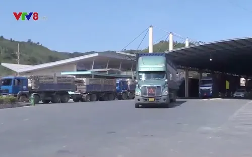 Đêm thơ Nguyên tiêu Xuân Nhâm Dần 2022