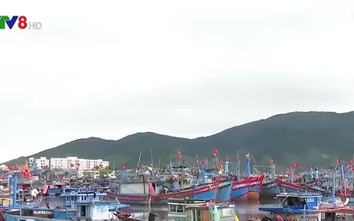 Giá dầu tăng cao, tàu cá ngư dân miền Trung nằm bờ