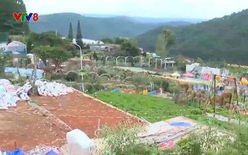 Khánh Hoà: Chấn chỉnh sai phạm khi phát triển nóng farmstay