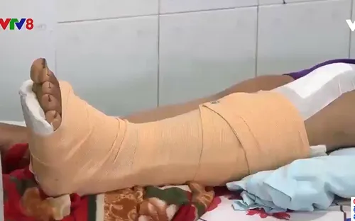 Đắk Nông cảnh báo tai nạn lao động khi hái hồ tiêu