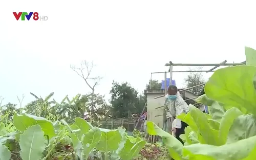 Tết ở vùng lũ Hà Tĩnh