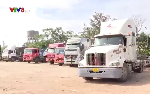 Sôi động hoạt động vận tải đầu năm