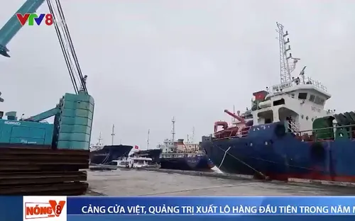 Cảng Cửa Việt xuất lô hàng đầu tiên trong năm mới