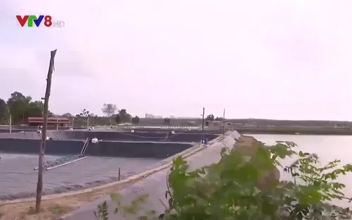 Thanh Hoá kiểm tra các cuộc đấu giá đất có biểu hiện bất thường