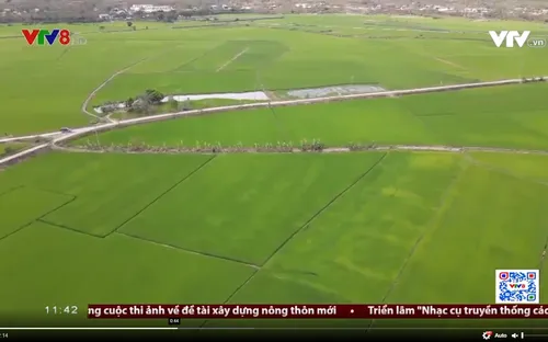 Chiêm ngưỡng nét đẹp cánh đồng lúa dưới chân núi lửa