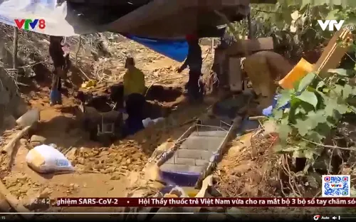 Quảng Nam đồng ý cấp phép cho 8 dự án khai thác vàng gốc ở Phước Sơn