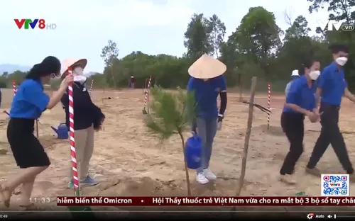 Quảng Ngãi phủ xanh Khu kinh tế Dung Quất