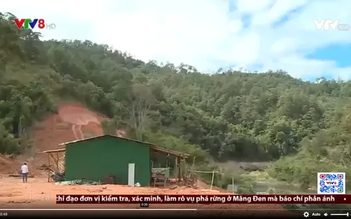 Lâm Đồng đề nghị điều tra hình sự vụ phá rừng Trường Sơn Đông