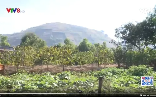 Gia Lai: Tái diễn tình trạng lừa chiếm đoạt quyền sử dụng đất của đồng bào dân tộc thiểu số