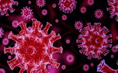 Nghiên cứu đầu tiên chỉ ra tỷ lệ tử vong ở người mắc COVID-19 do Delta cao hơn do Omicron