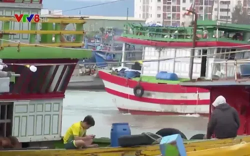 Nỗi lo thiếu hụt lao động nghề đi biển