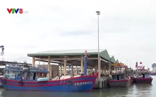 Đề xuất chi hơn 151 tỷ đồng làm tuyến luồng vào khu bến cảng Thọ Quang, Đà Nẵng