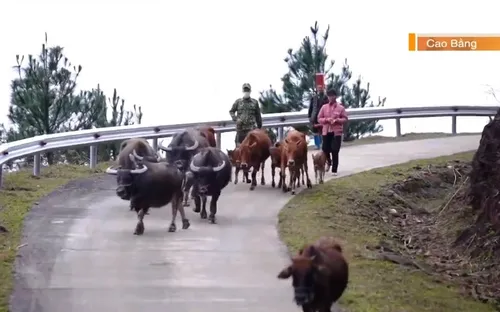 Những "cột mốc sống" giữ biên cương