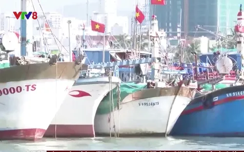 Tàu cá Khánh Hòa bị Malaysia bắt giữ trái phép khi đang hoạt động trong vùng biển Việt Nam