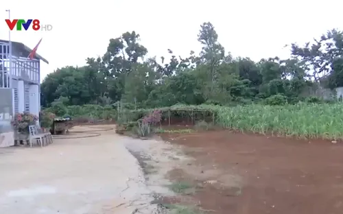 Đắk Lắk: Cách chức hai cán bộ phường sai phạm trong quản lý đất đai