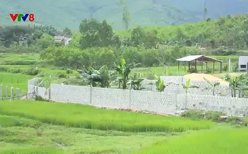 Ngăn chặn xây dựng trái phép trên tuyến cao tốc Bắc - Nam