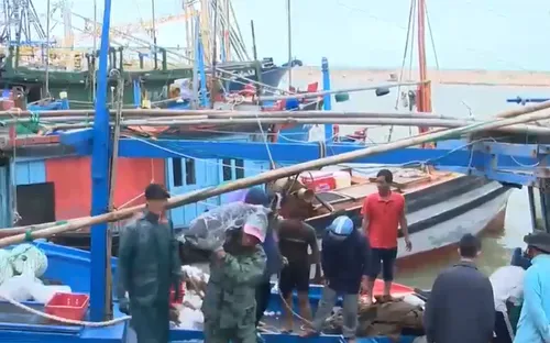 Liên kết giúp ngư dân bớt khó khăn khi giá dầu tăng