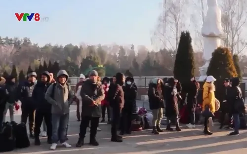 Ổn định cuộc sống người Việt sơ tán từ Ucraina